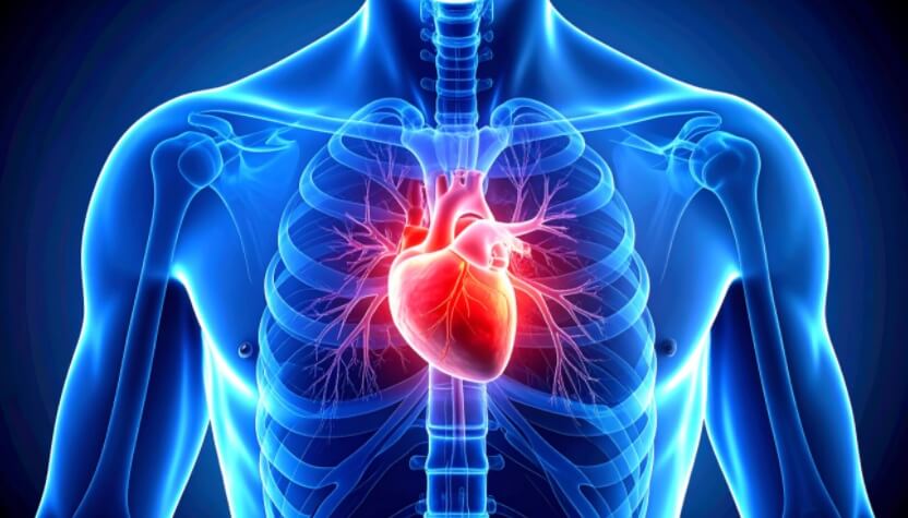 Hipertensão e doenças cardiovasculares: desafios crescentes na geriatria