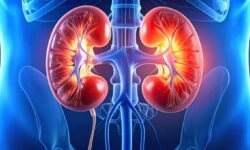 Síndrome nefrótica: entenda os sinais e o diagnóstico dessa condição renal